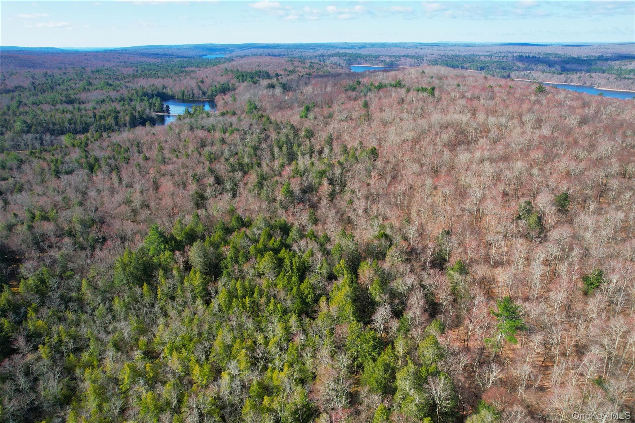 118 Hilltop Road thumbnail 43