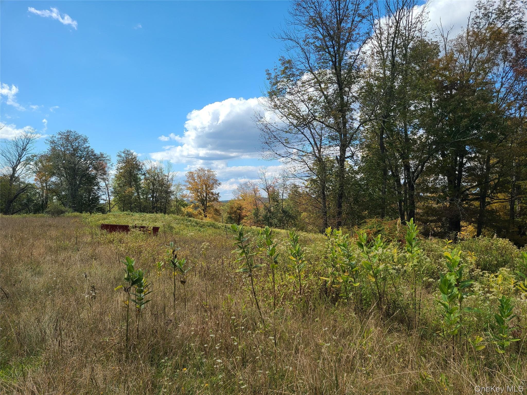 118 Hilltop Road thumbnail 19