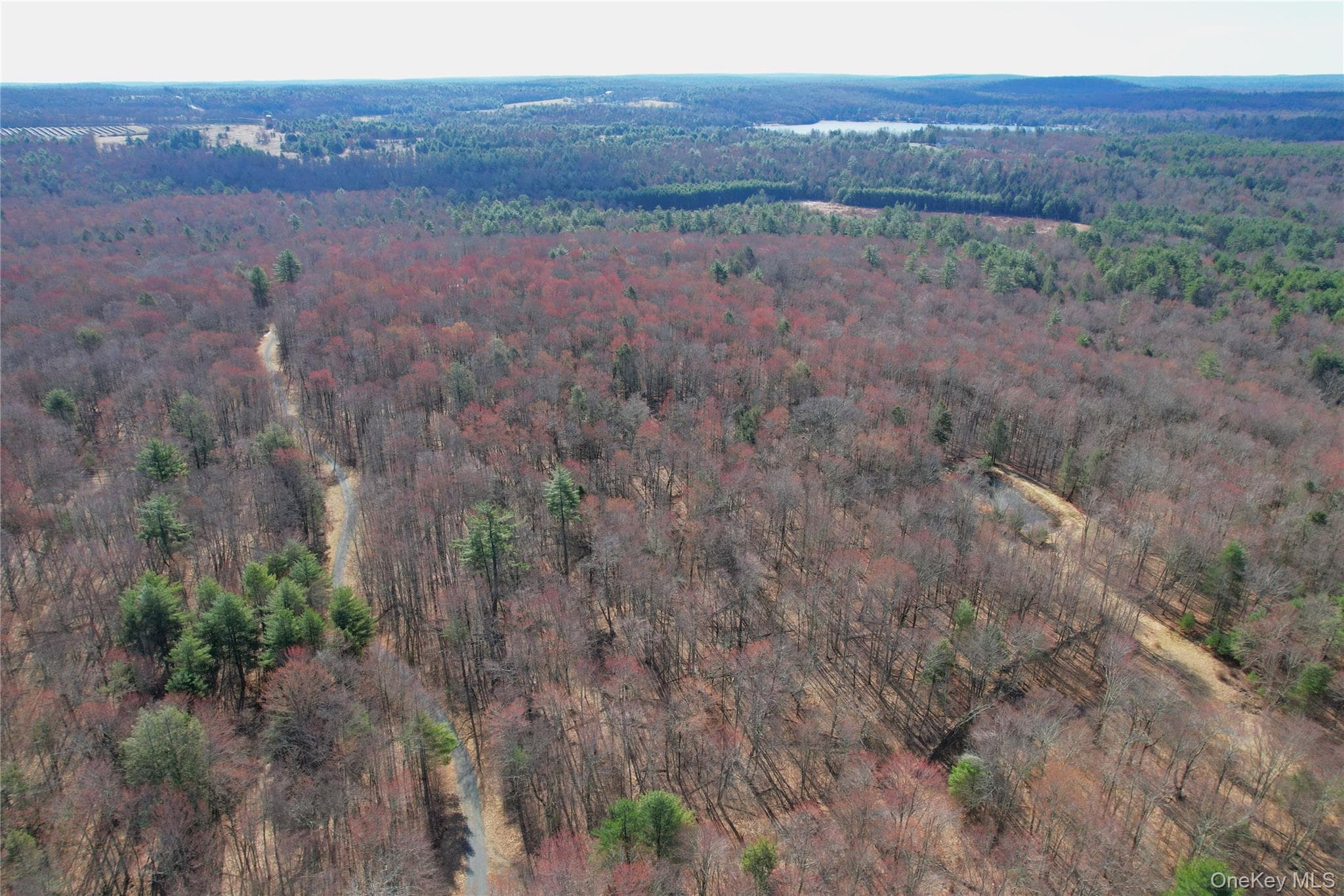 118 Hilltop Road thumbnail 47