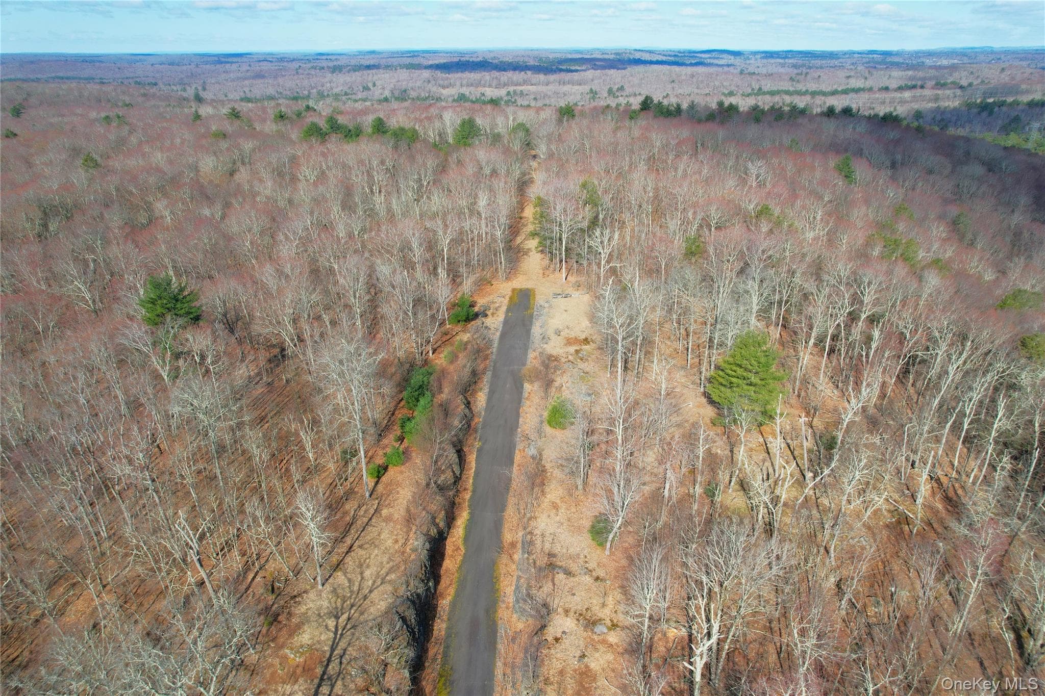 118 Hilltop Road thumbnail 5