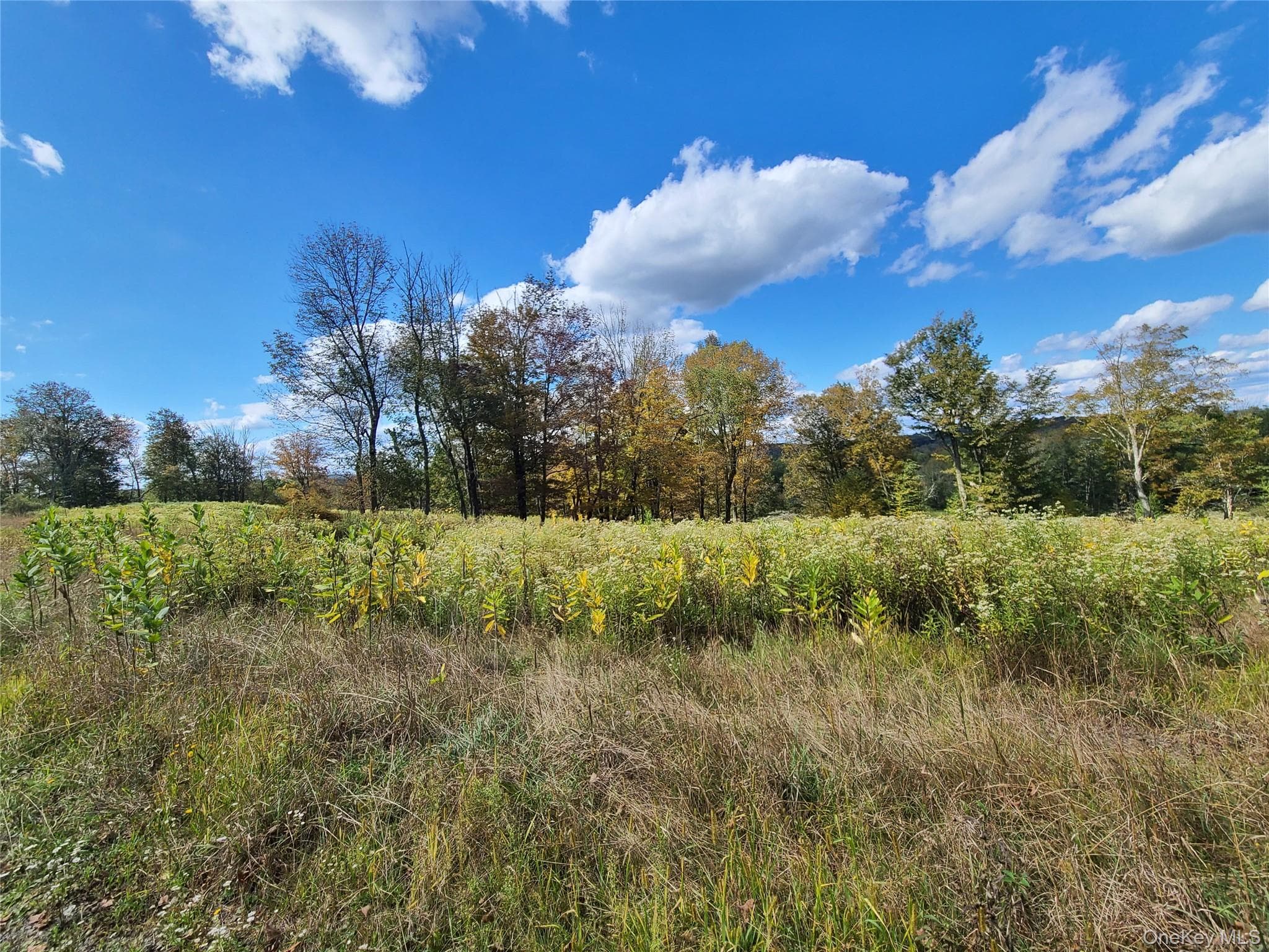 118 Hilltop Road thumbnail 21
