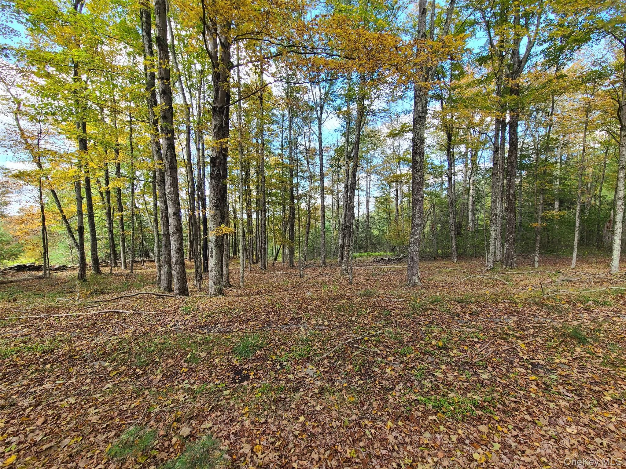 118 Hilltop Road thumbnail 24