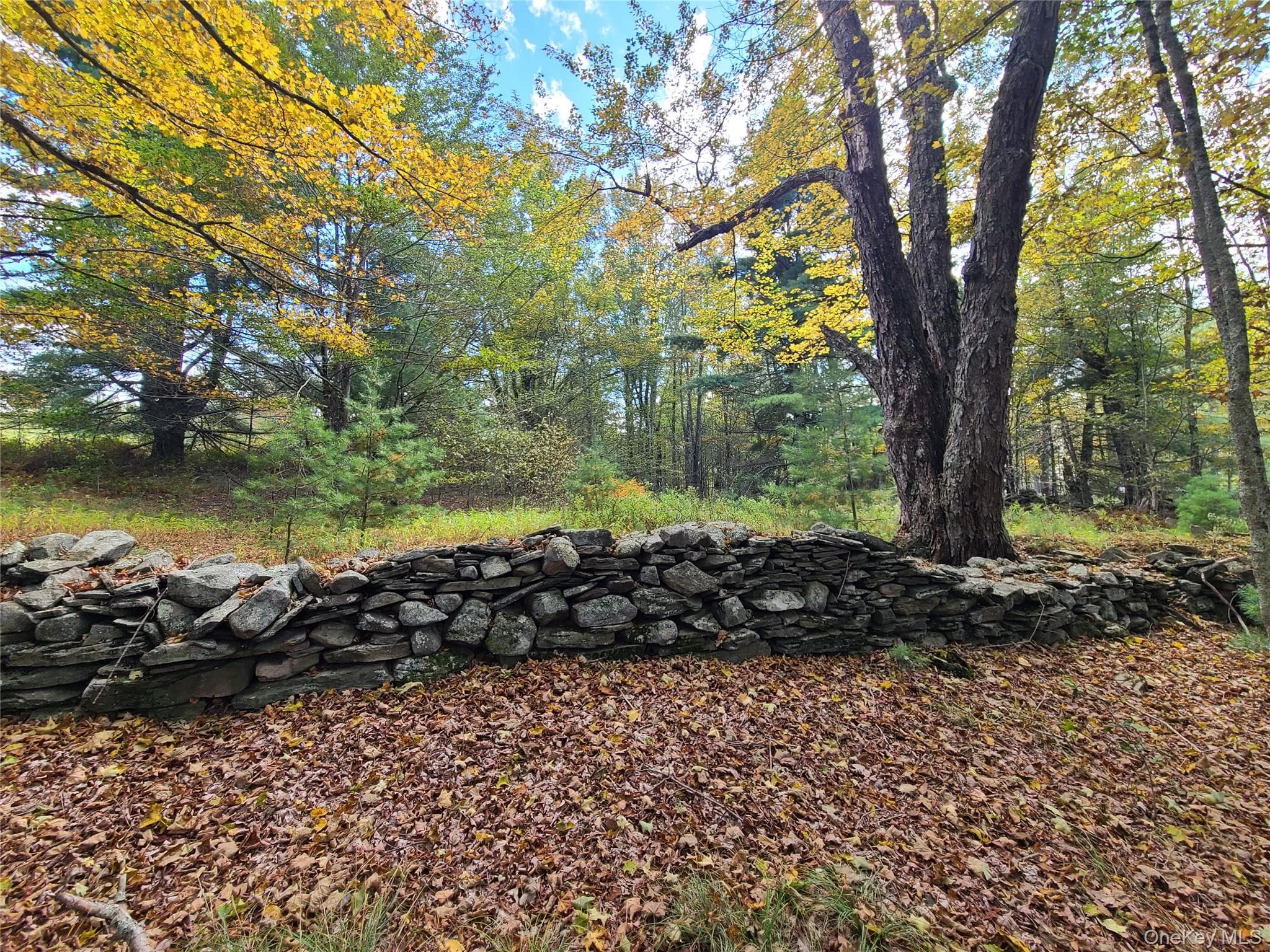 118 Hilltop Road thumbnail 23