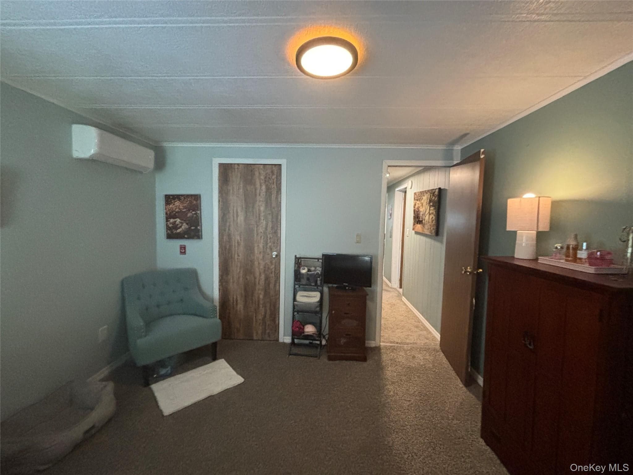 1661 Old Country Road Unit: 454 thumbnail 38