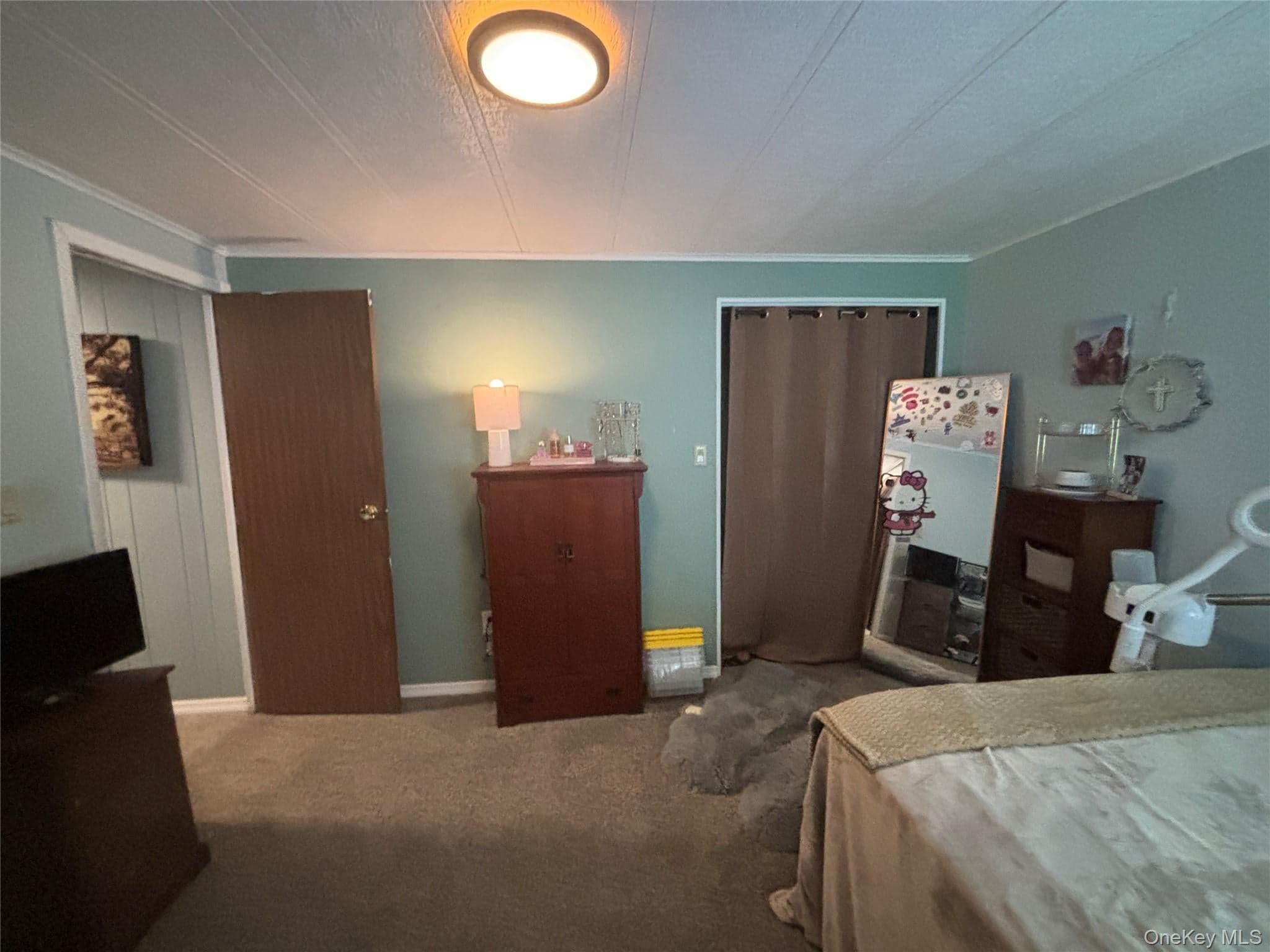 1661 Old Country Road Unit: 454 thumbnail 39