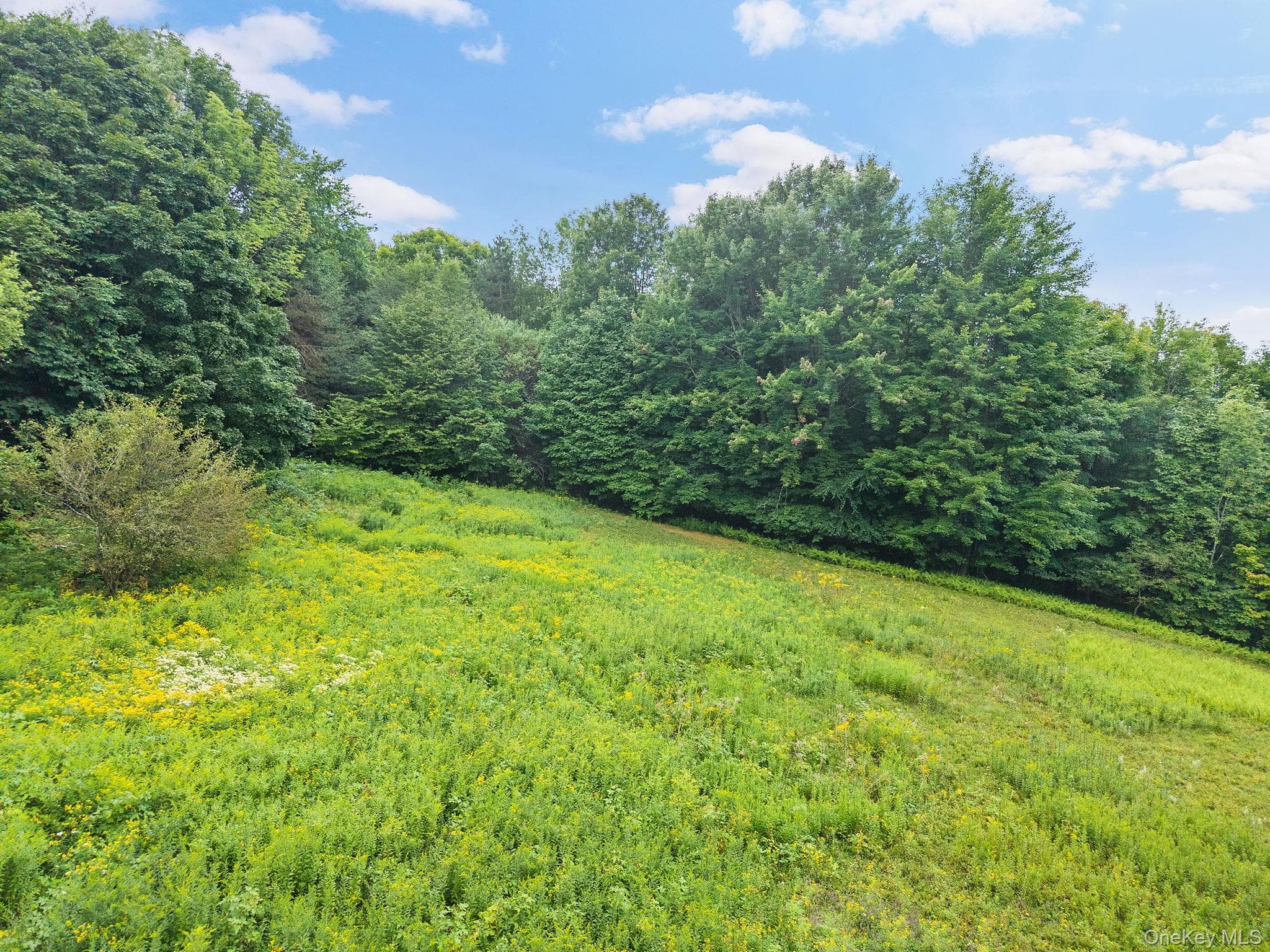 5206 Town Brook Road thumbnail 47