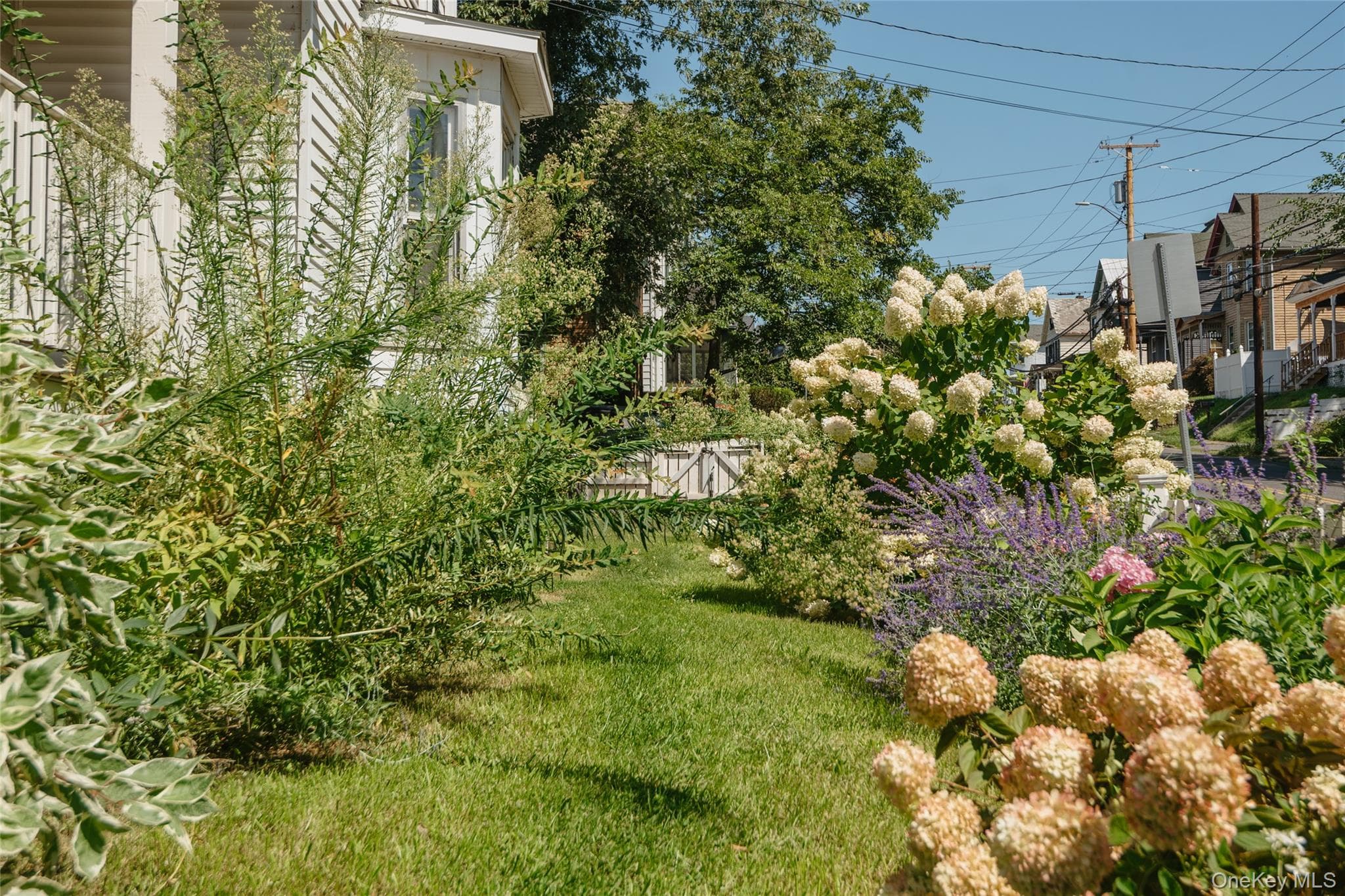 328 Hasbrouck Avenue thumbnail 27
