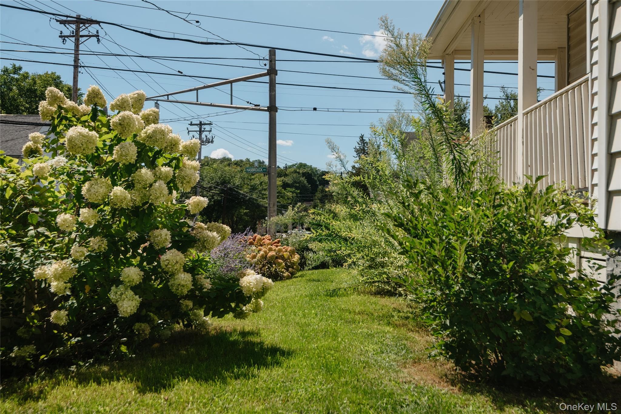 328 Hasbrouck Avenue thumbnail 33