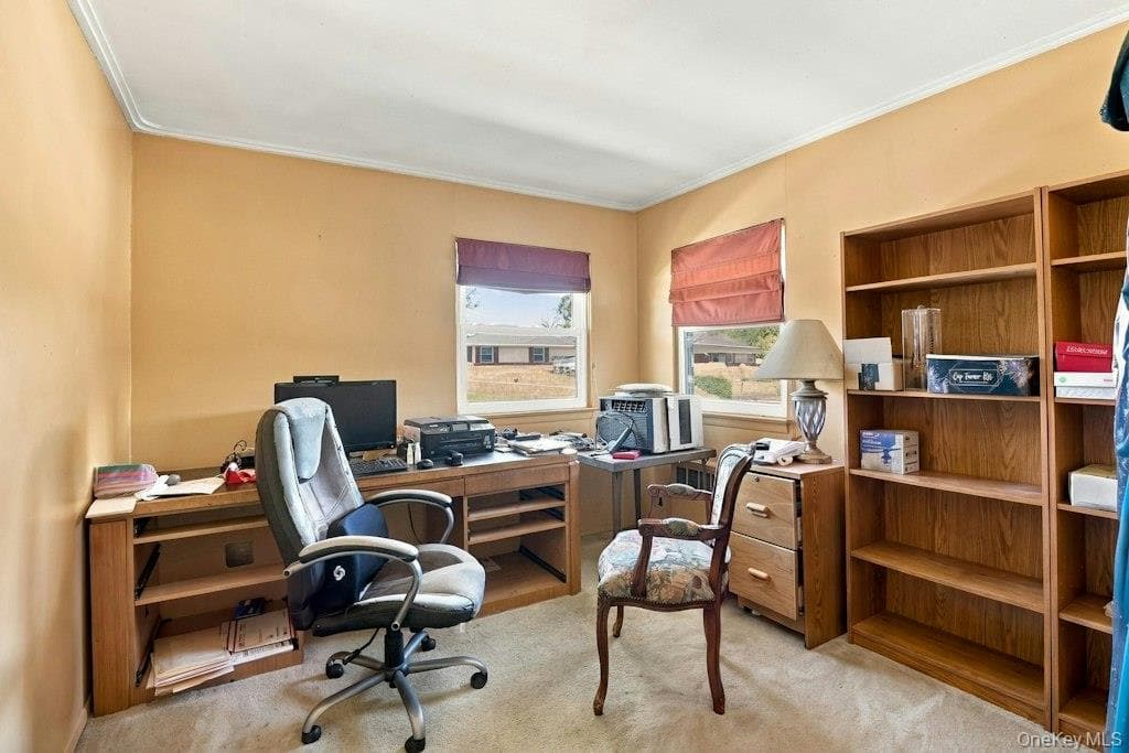 16 Radnor Road thumbnail 10