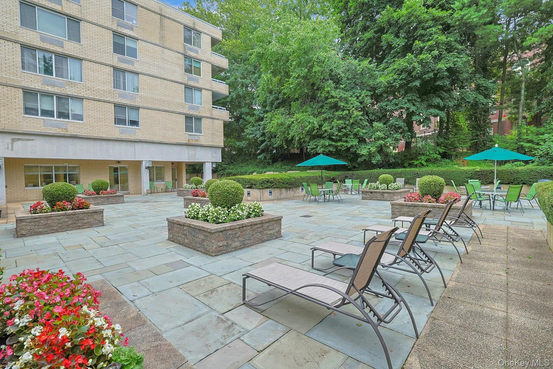 1270 North Avenue Unit: 1c thumbnail 13