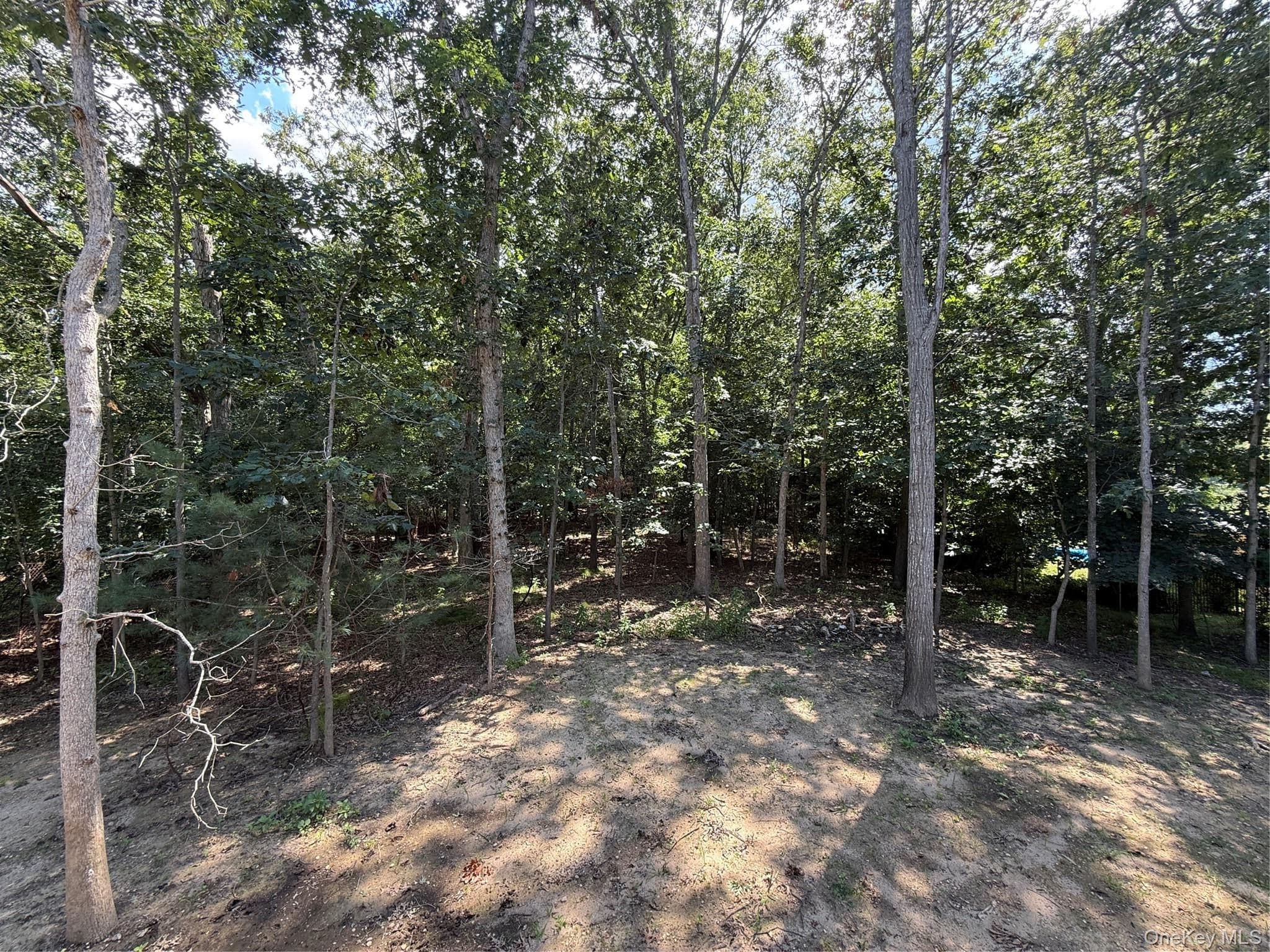 6 Scout Trail thumbnail 23