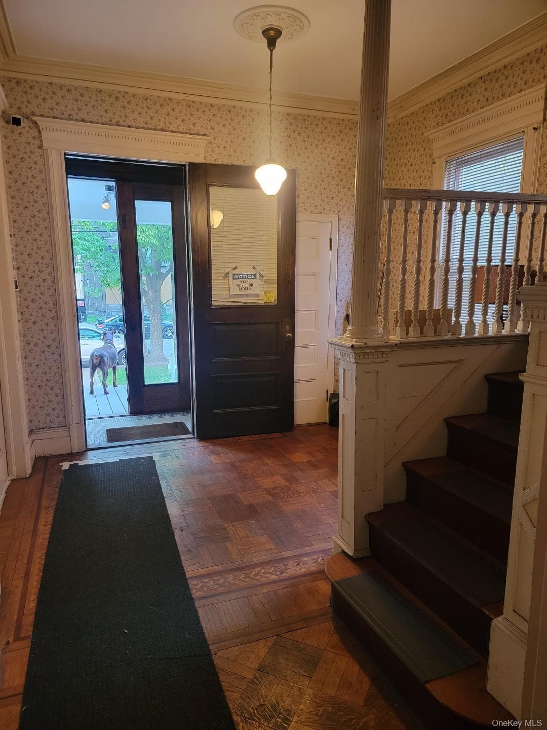 23 Cottage Avenue thumbnail 7