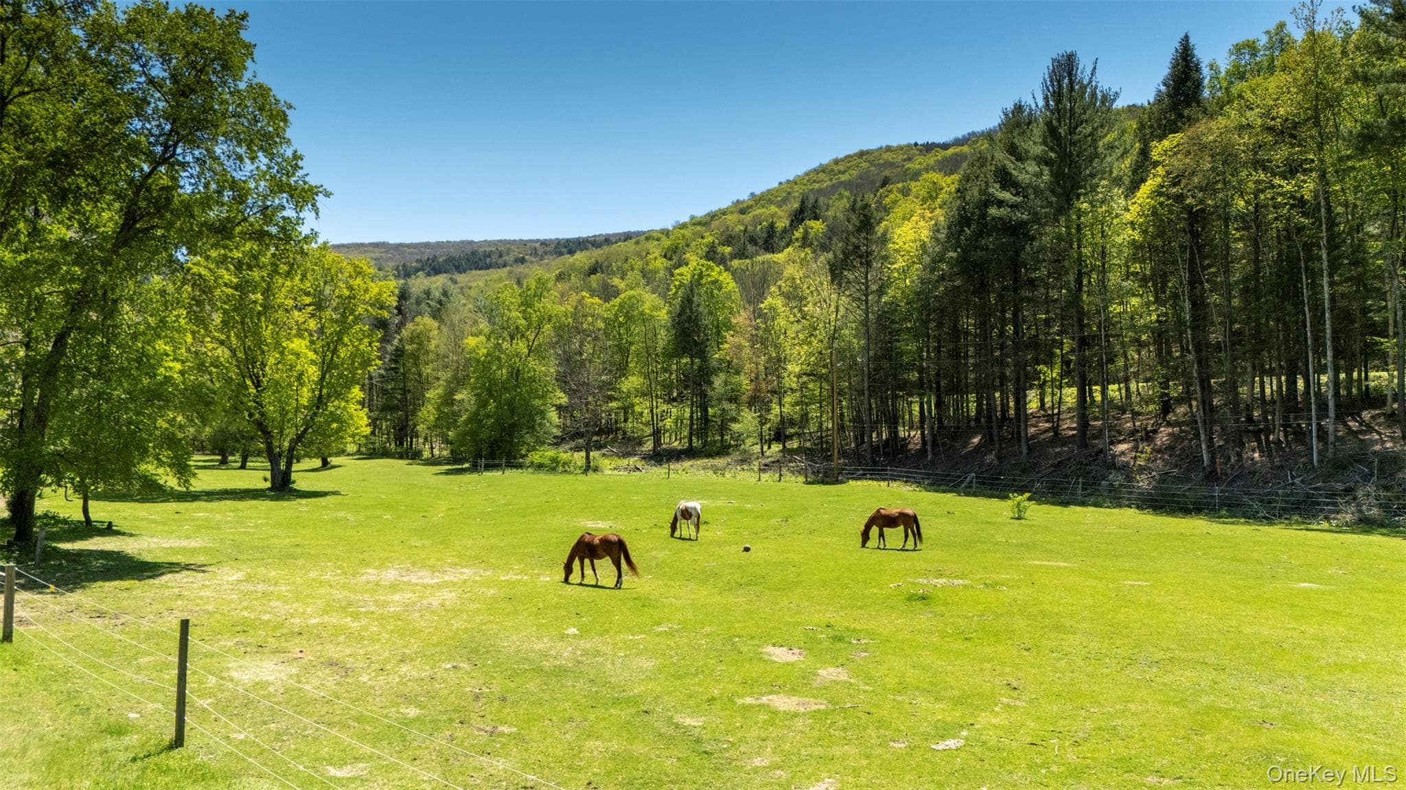 390 Erpf Road thumbnail 45