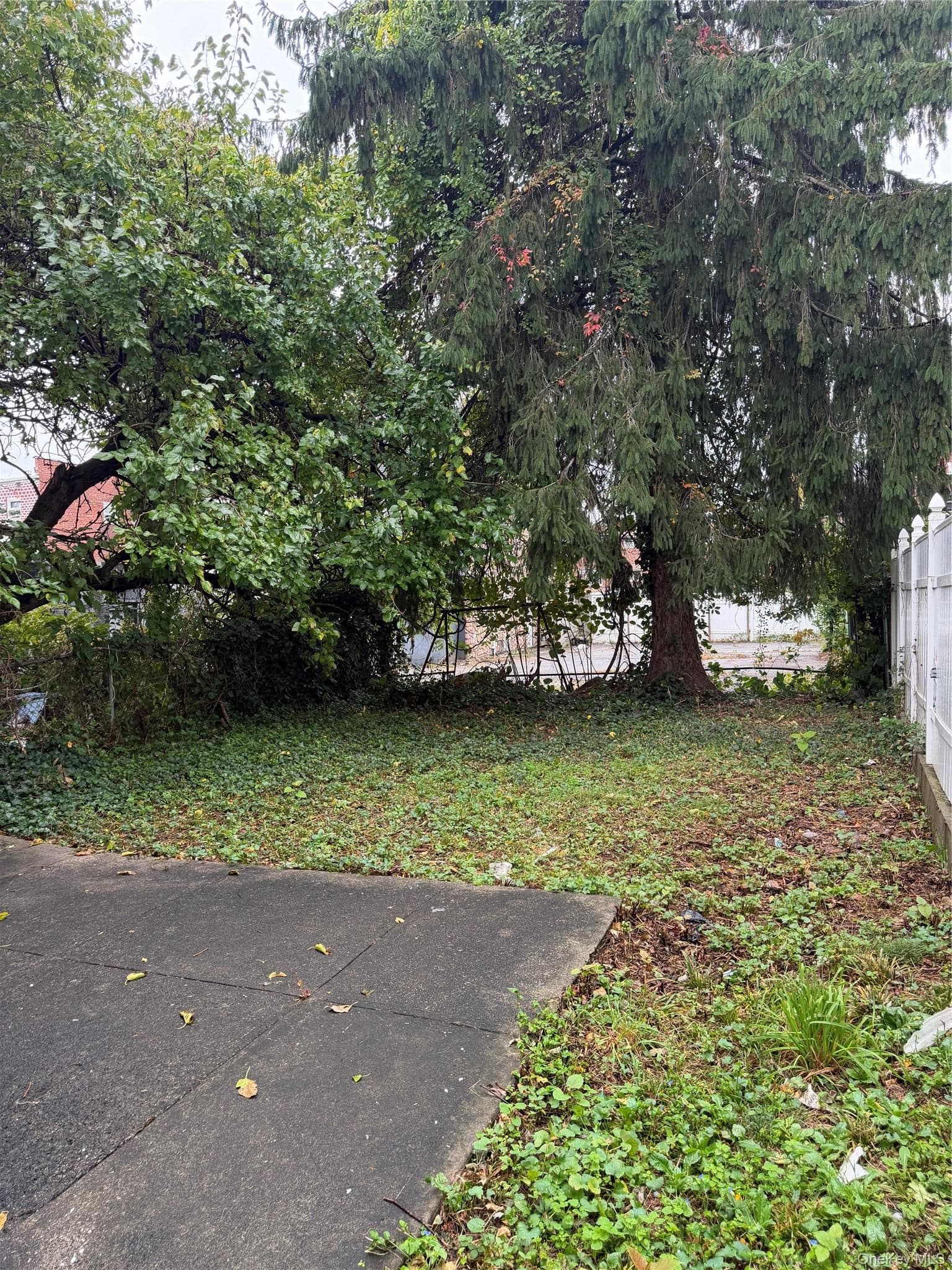 433 Howe Avenue Unit: A thumbnail 19