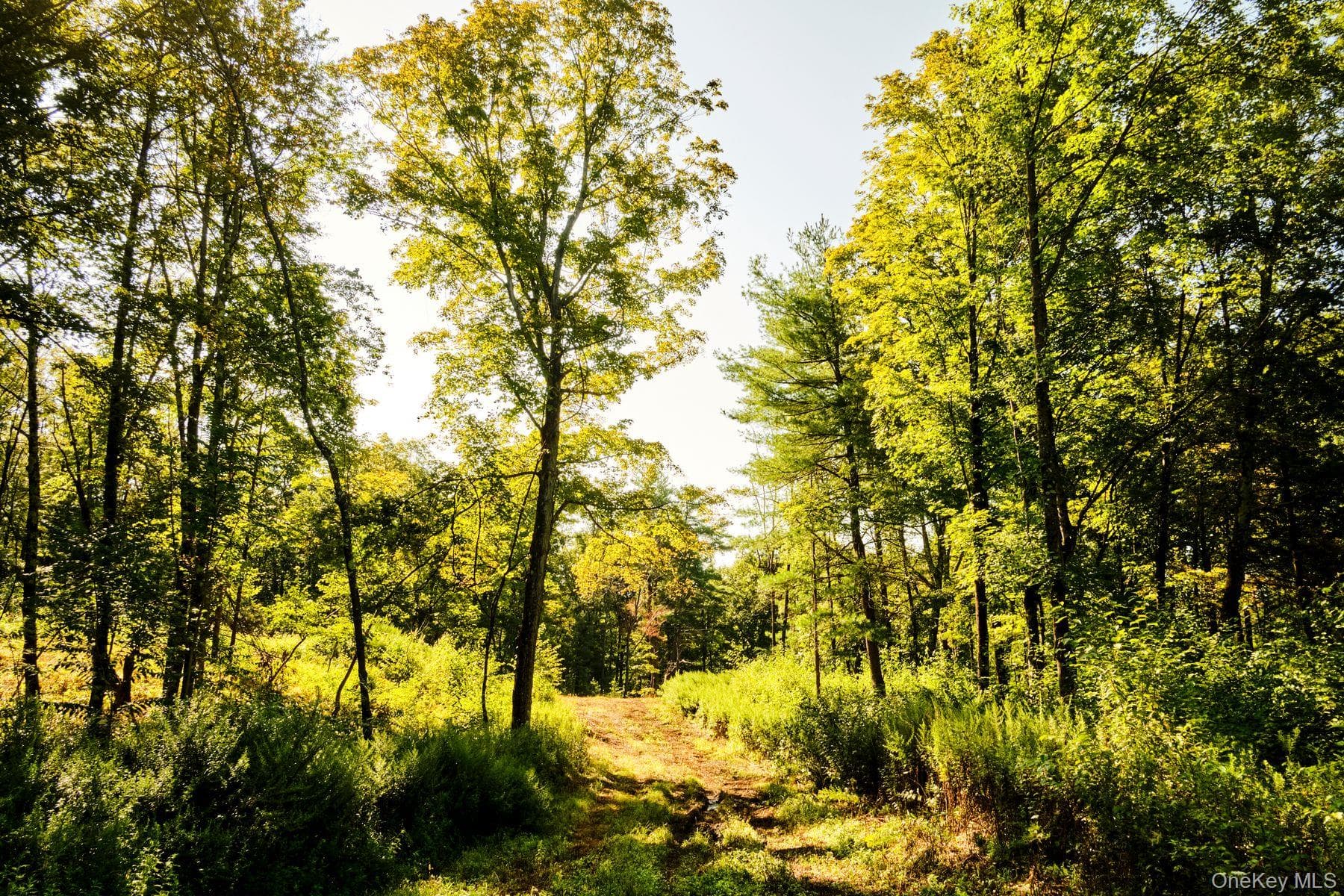 60 Stone Wall Path thumbnail 10
