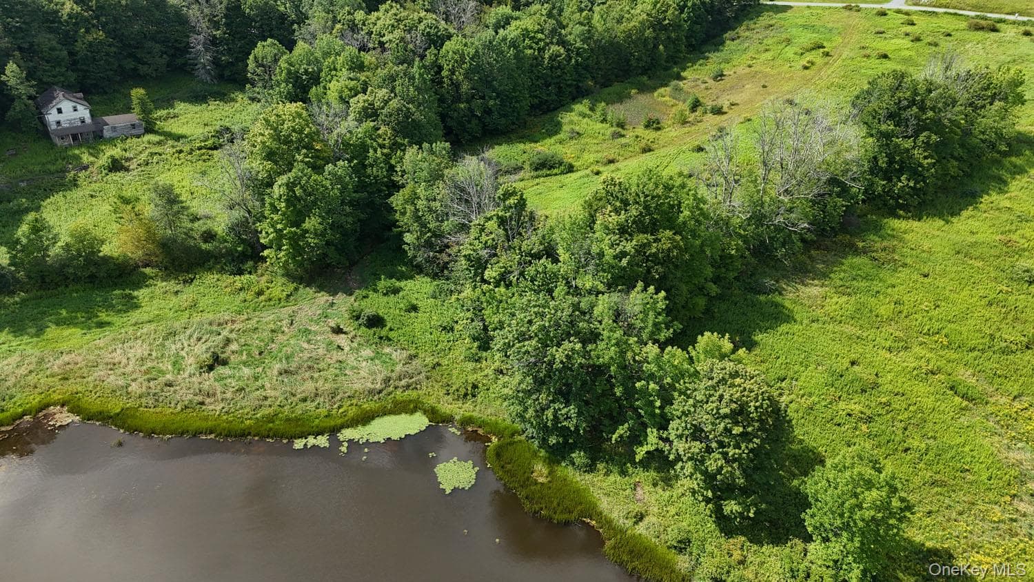 Waterfront Lot 14 Meadow Lane thumbnail 29