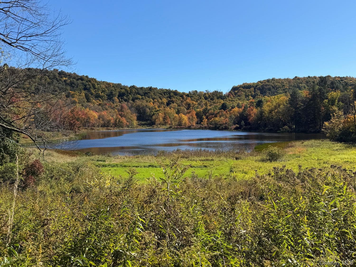 Waterfront Lot 14 Meadow Lane thumbnail 32