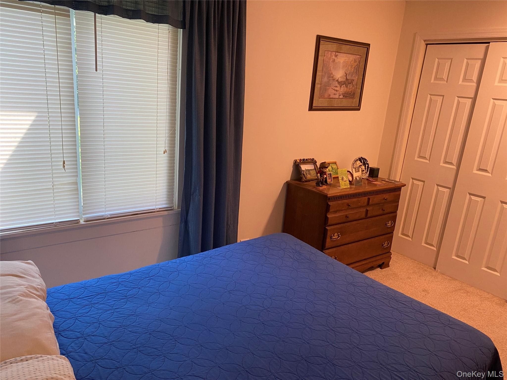 66 Longfellow Drive thumbnail 12