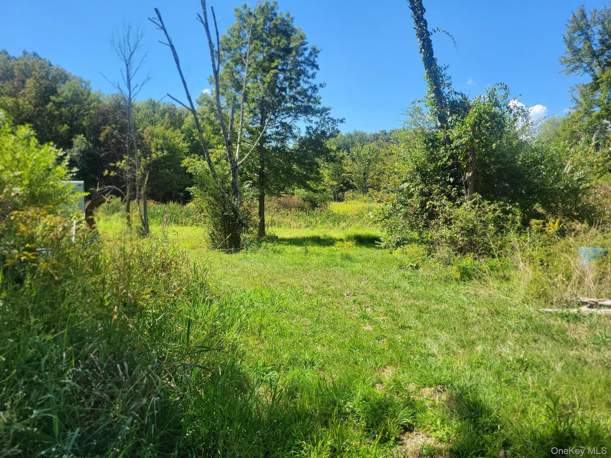 328 Bloomingburg Road thumbnail 8