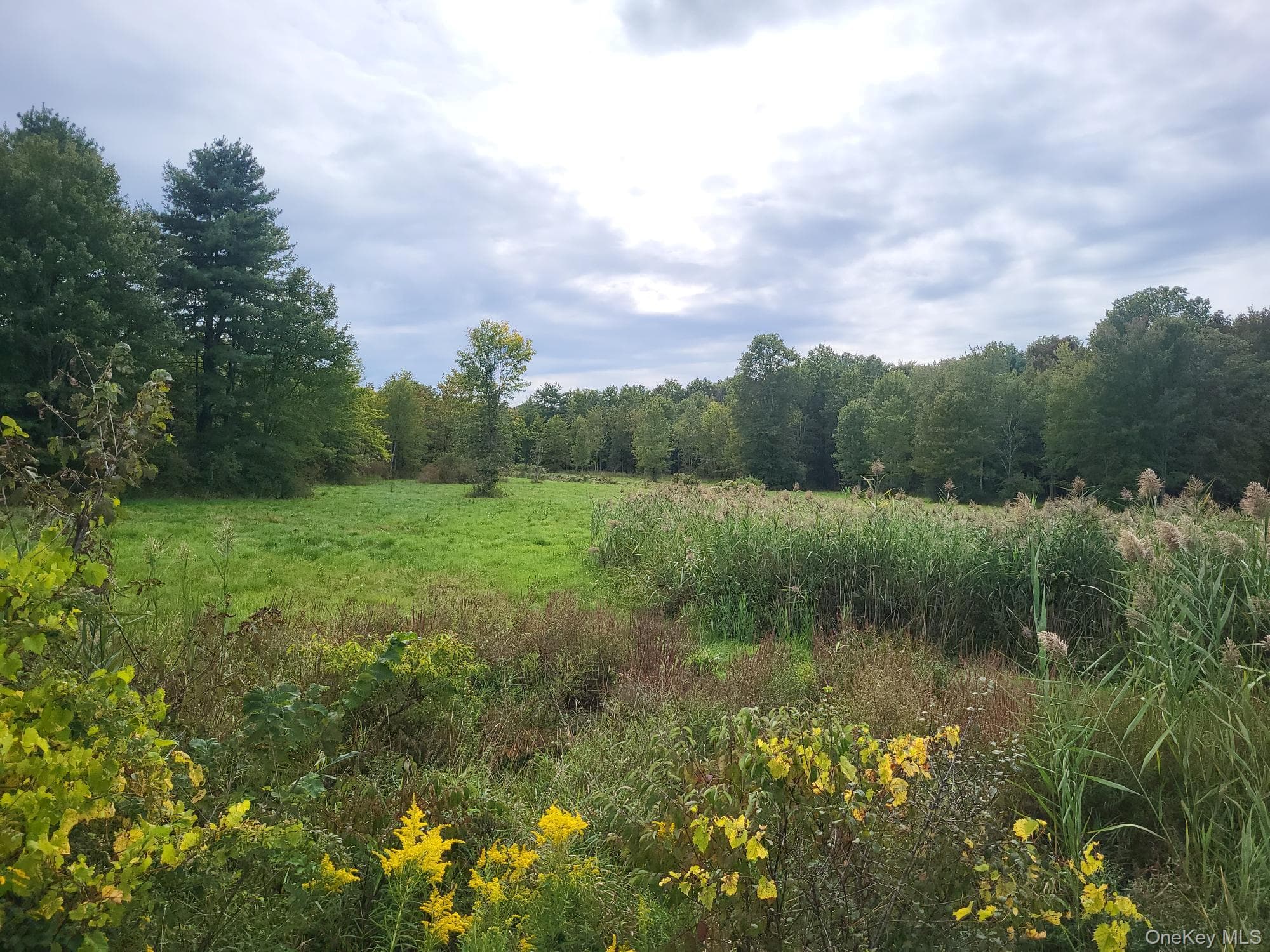 328 Bloomingburg Road thumbnail 3