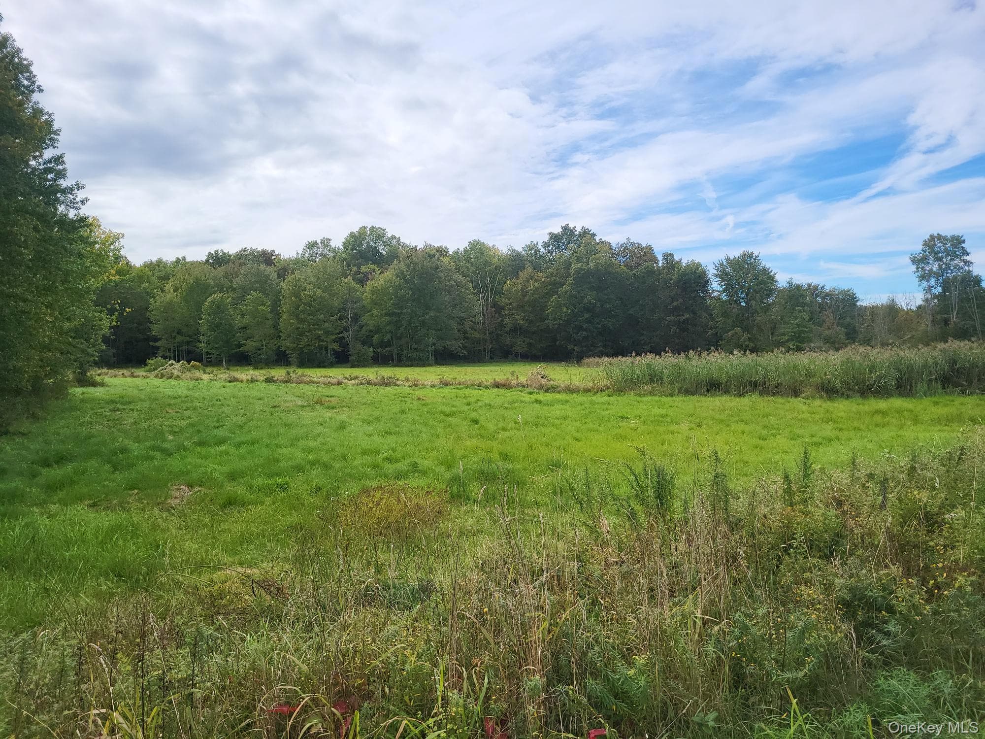 328 Bloomingburg Road thumbnail 4