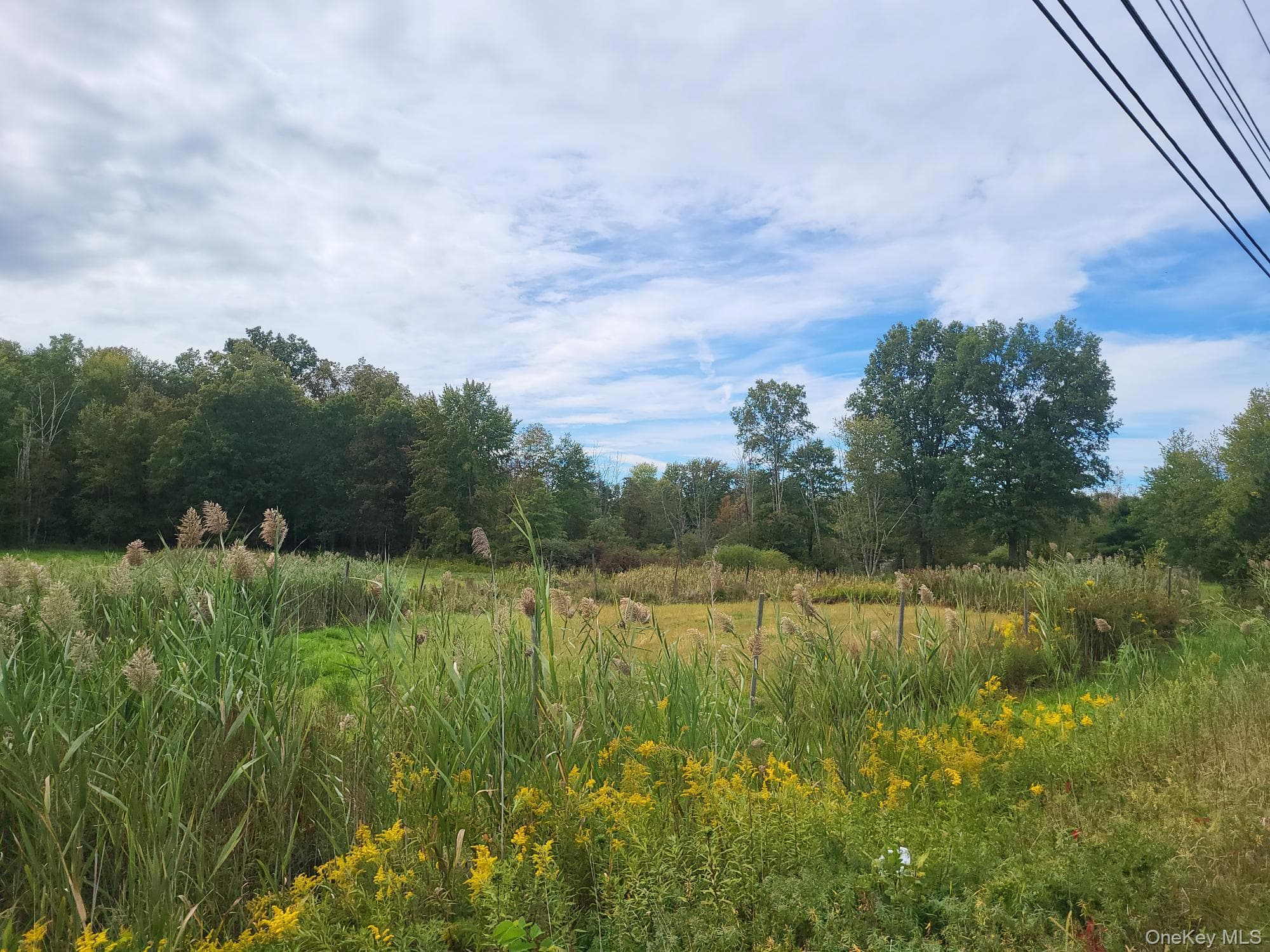328 Bloomingburg Road thumbnail 2