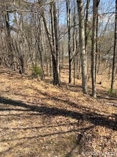14 Old Country Road thumbnail 8
