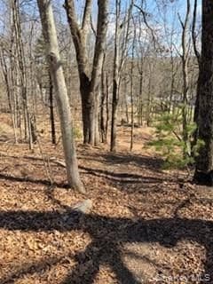 14 Old Country Road thumbnail 9
