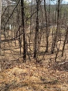 14 Old Country Road thumbnail 7