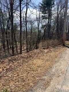 14 Old Country Road thumbnail 3