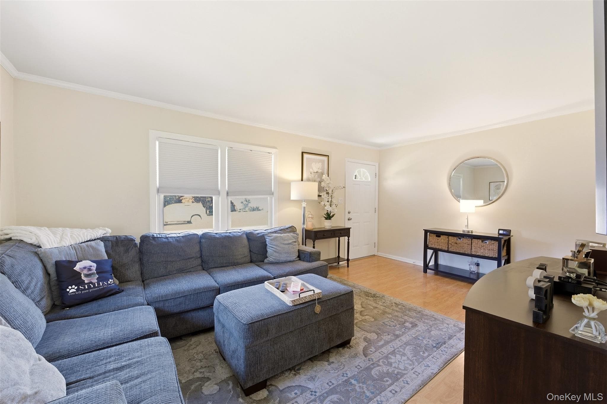 1155 Delmar Avenue thumbnail 4