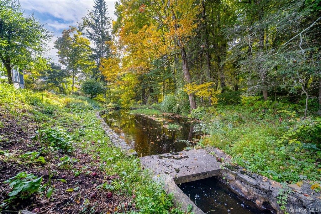 29 Dixon Lake Drive thumbnail 36