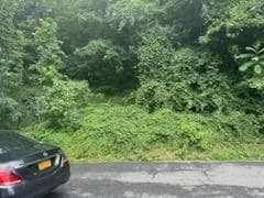 45 Chatham Terrace thumbnail 2