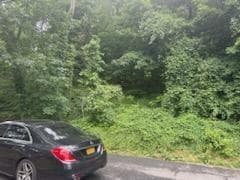 45 Chatham Terrace thumbnail 9