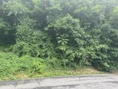 45 Chatham Terrace thumbnail 8