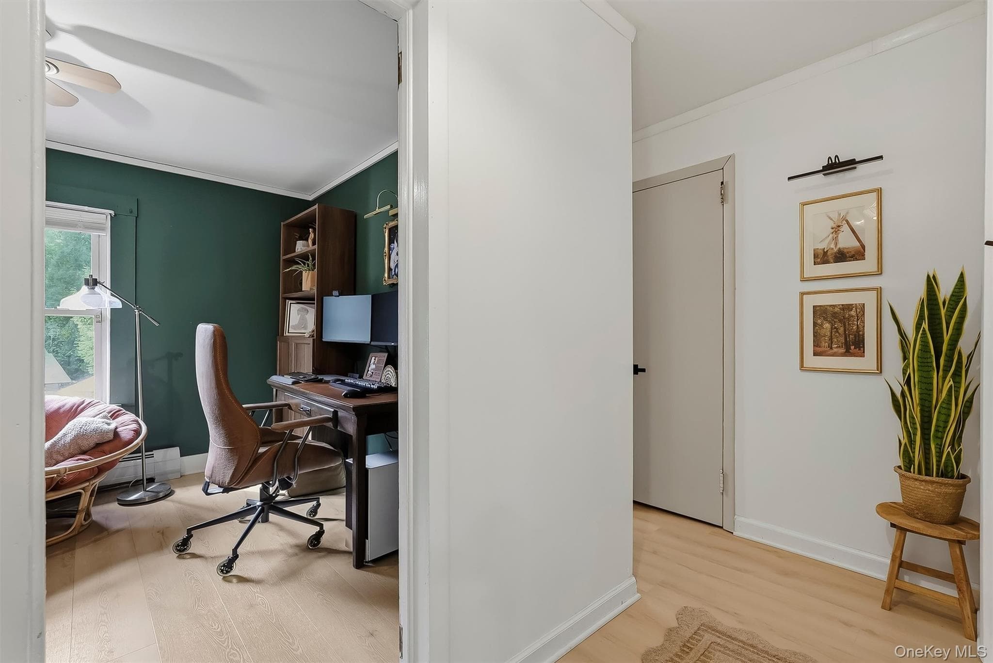 164 Woodland Avenue thumbnail 17