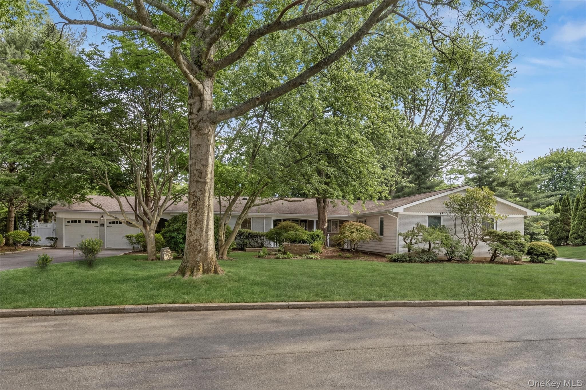 54 Dix Woods Drive thumbnail 2