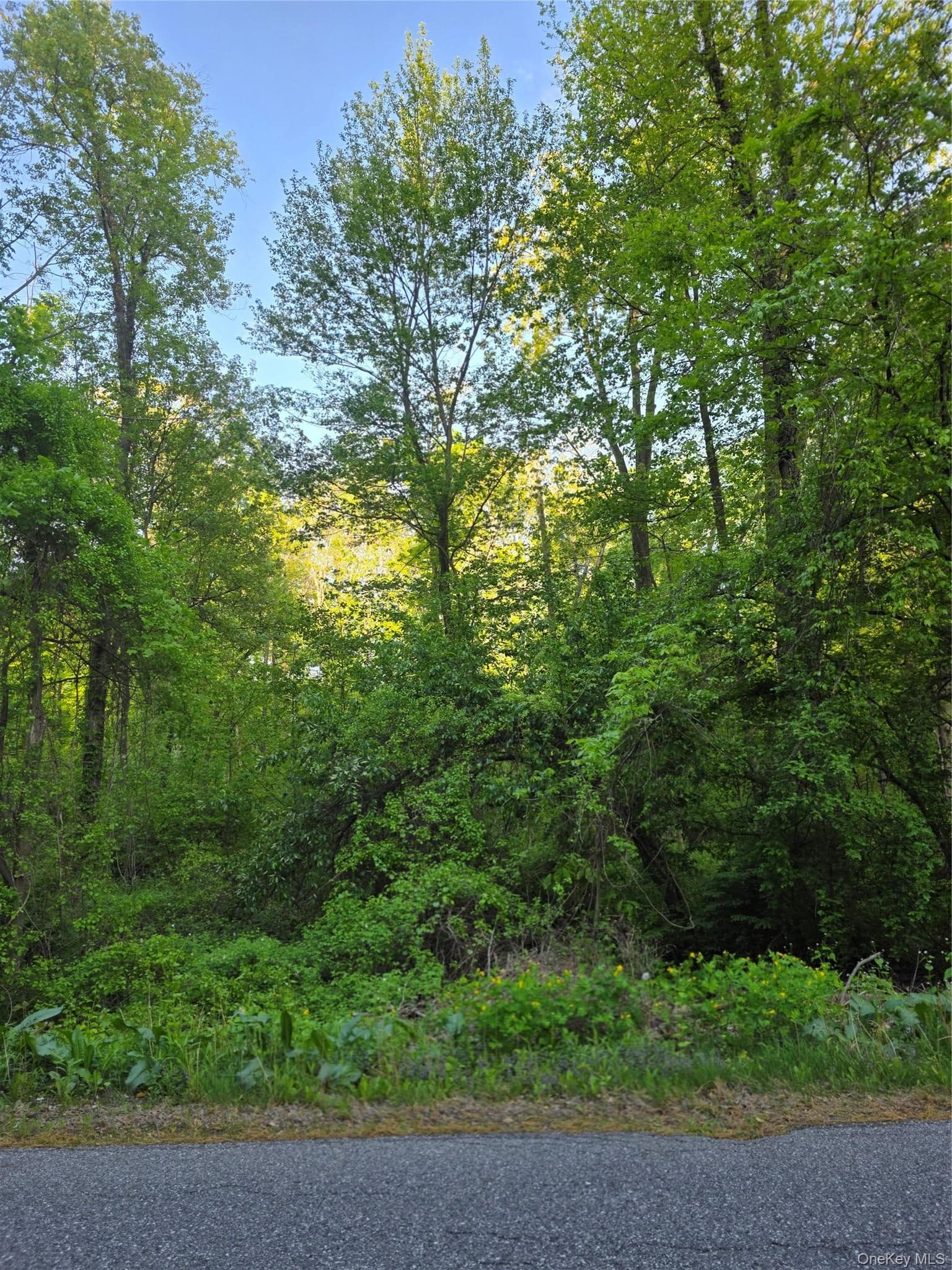 122 Archer Rd RD thumbnail 2