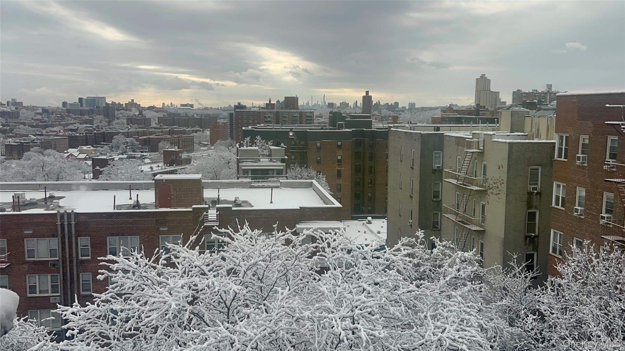 3840 Greystone Avenue Unit: 6P thumbnail 14