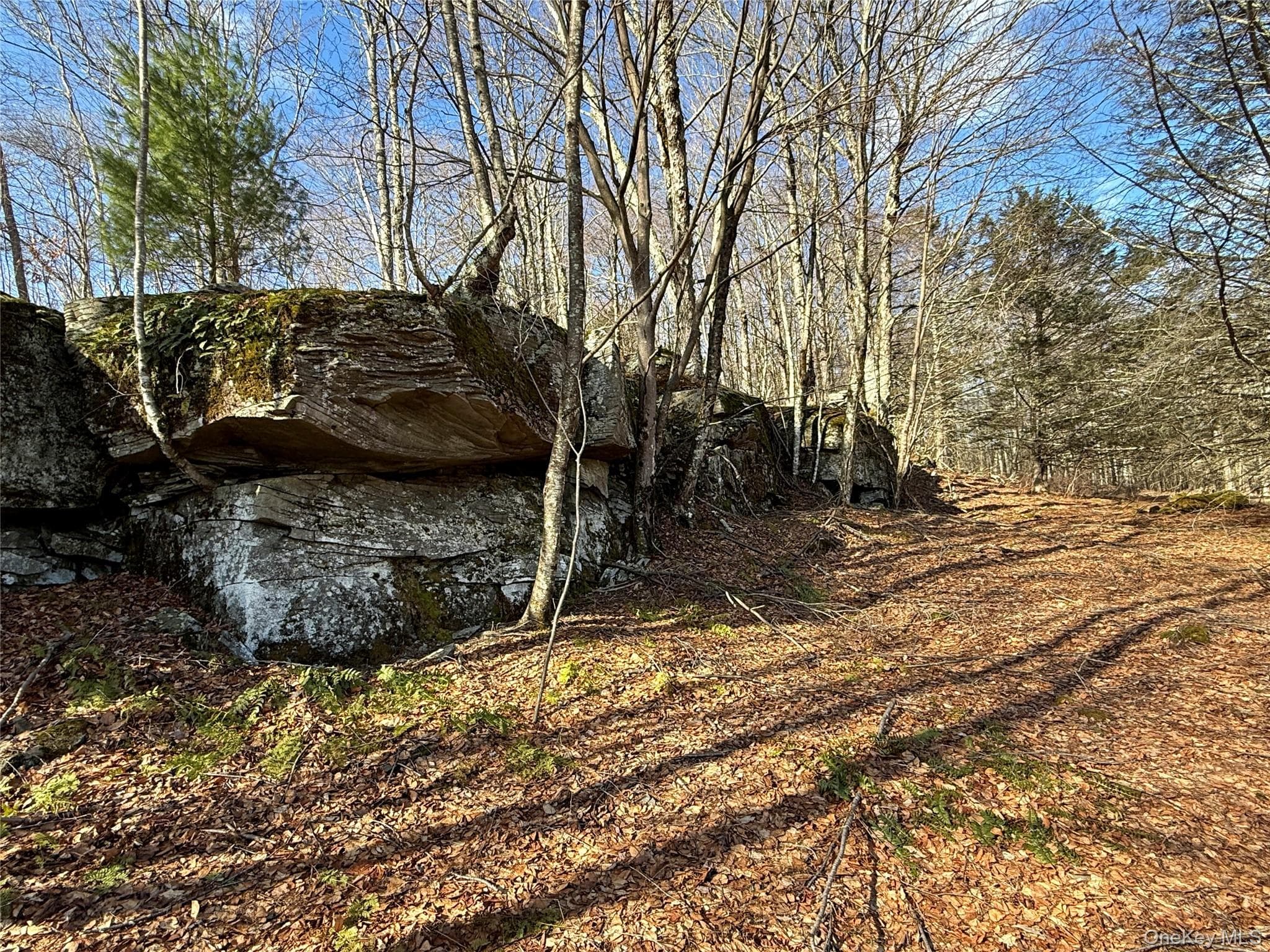 TBD State Route 55 And Smith Lane thumbnail 36
