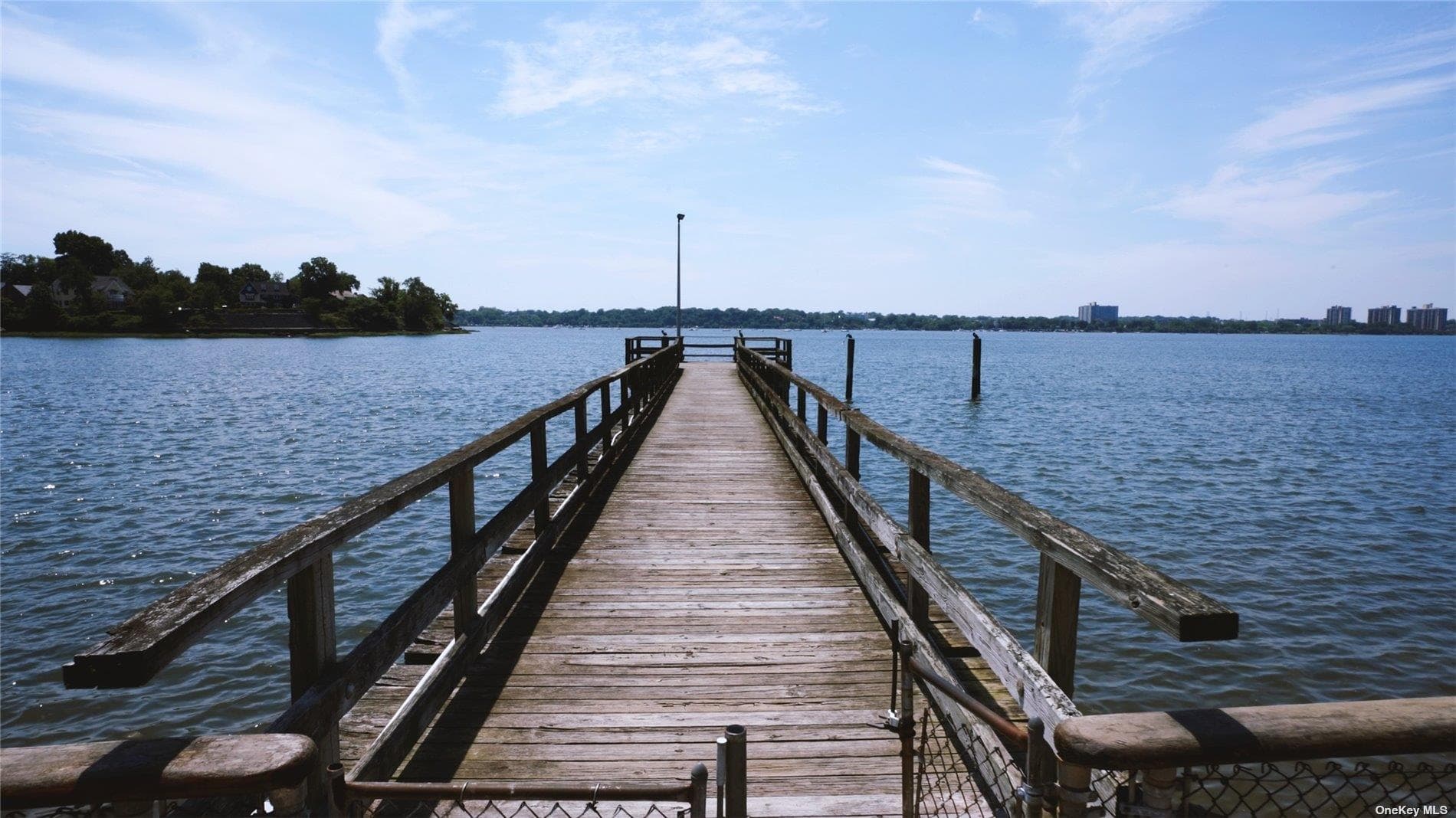 218 Middle Neck Road Unit: 107 thumbnail 31