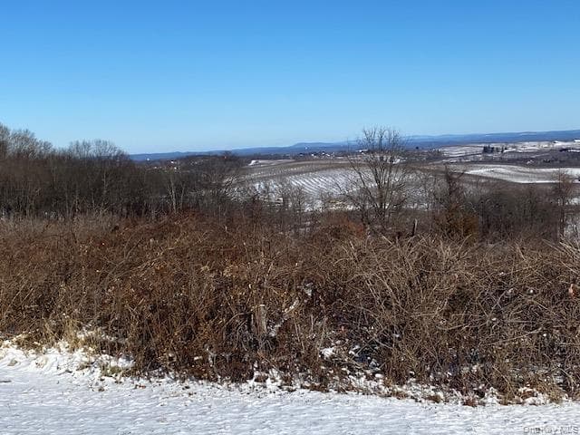 156 Mount Zion Road thumbnail 32