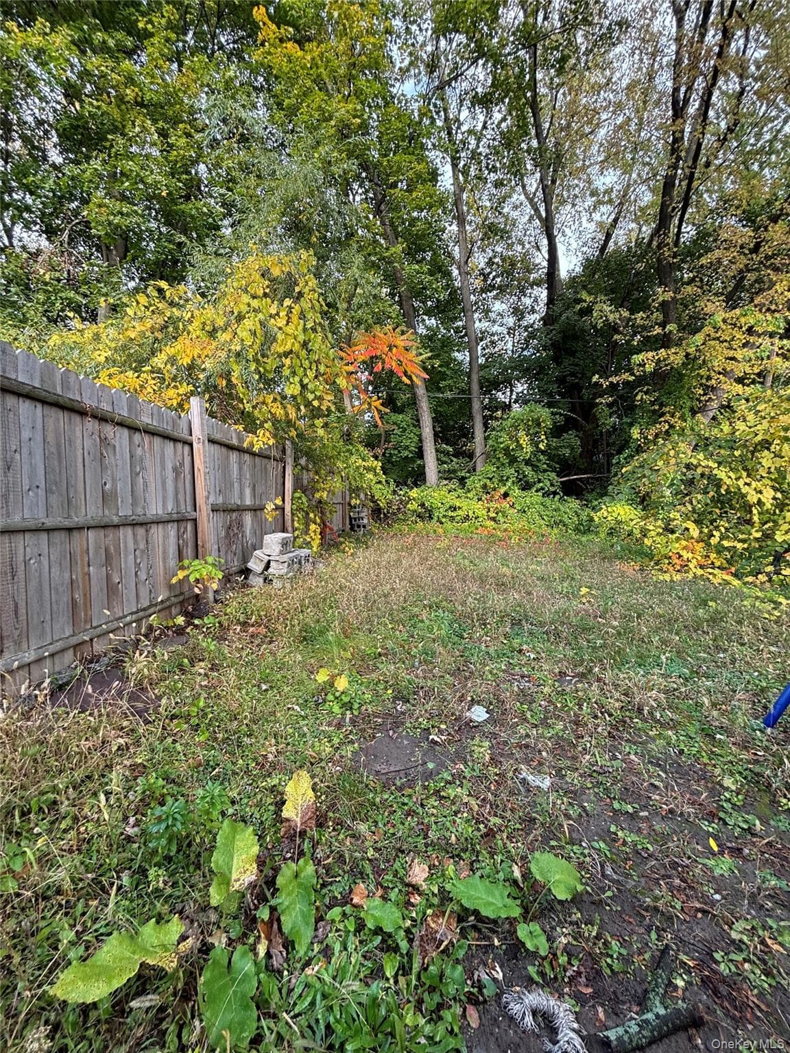 323 Clinton Avenue thumbnail 26