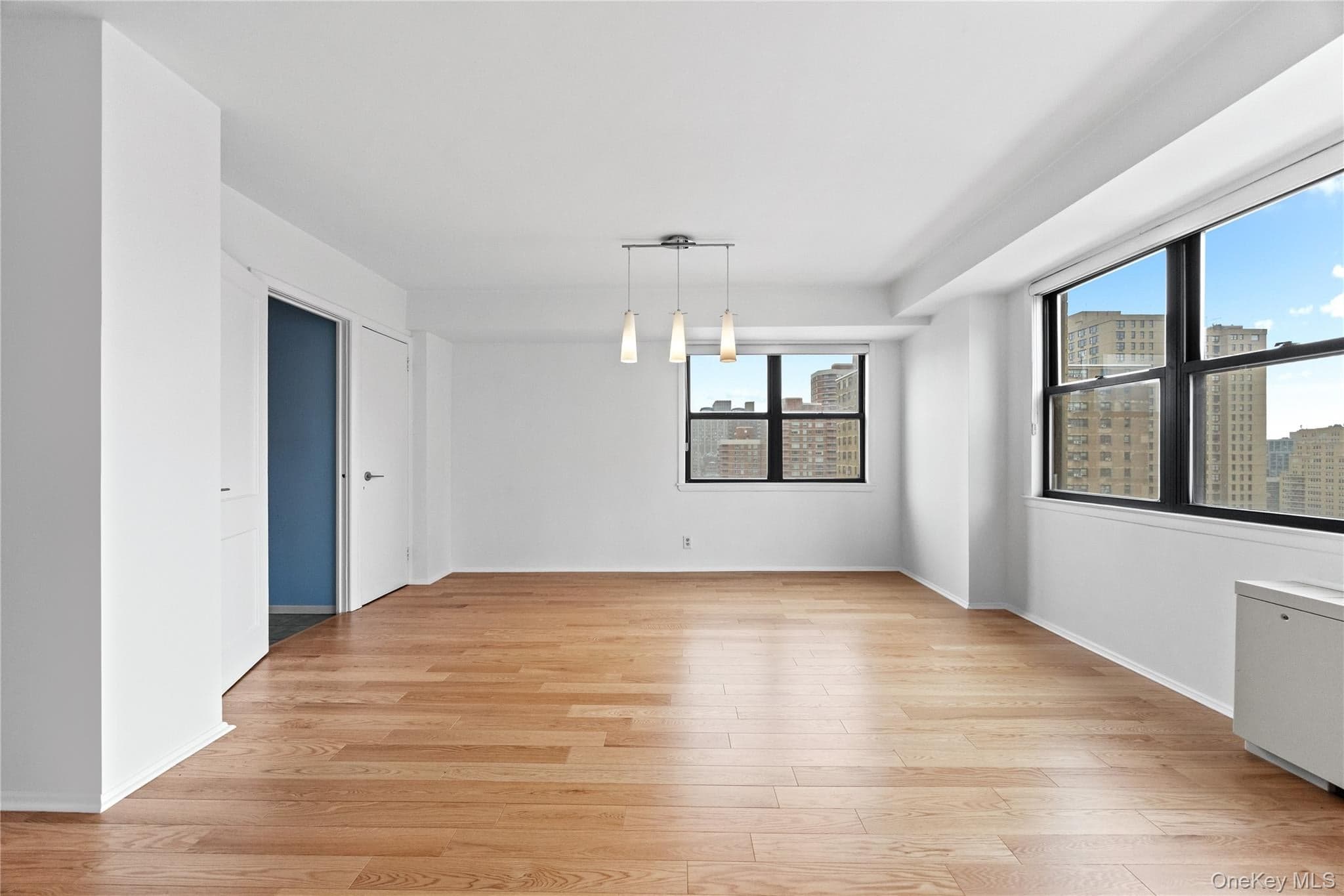201 E 28th Street Unit: 16AB thumbnail 4