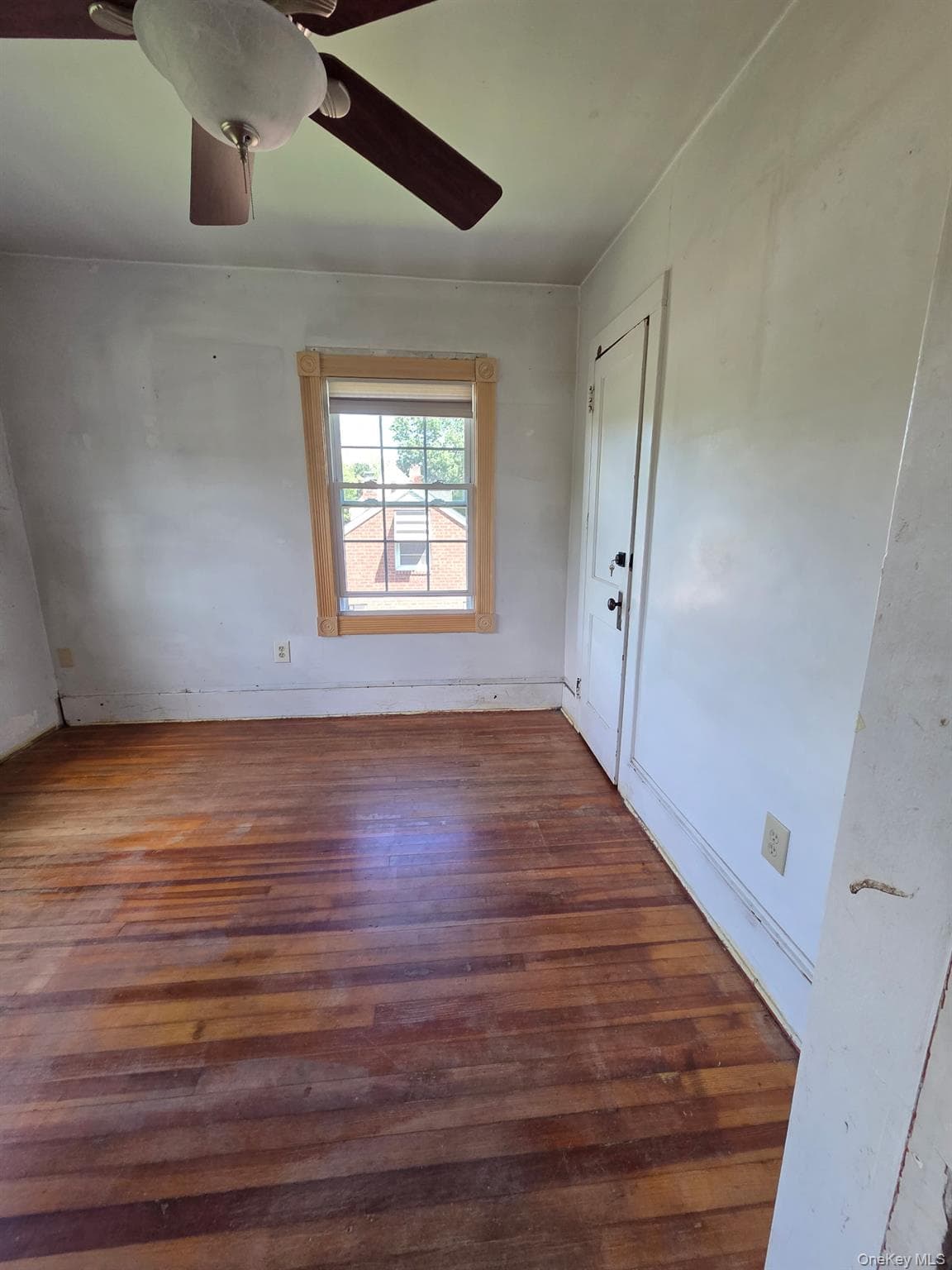 295 Lucas Avenue thumbnail 25
