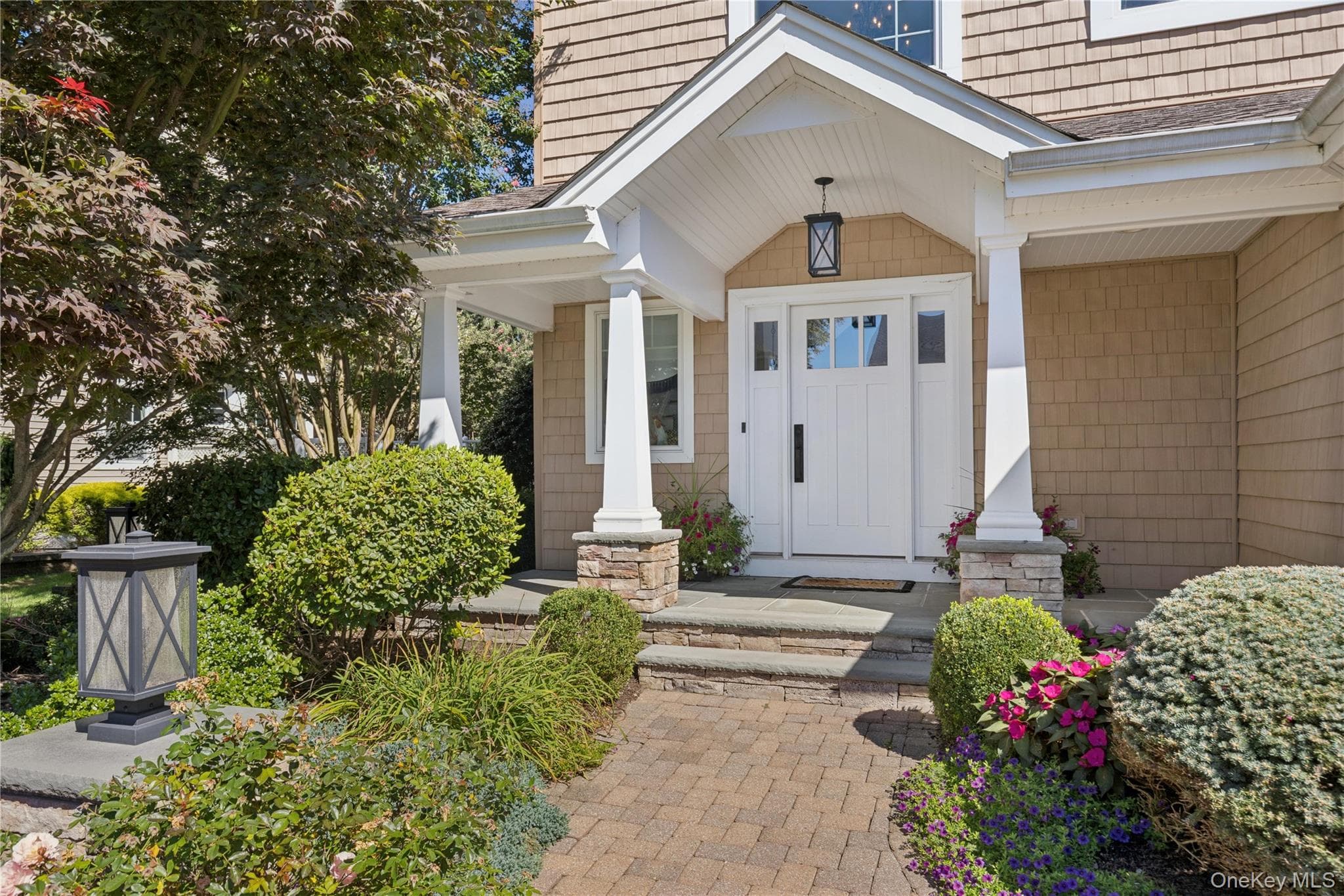 14 Esmond Avenue thumbnail 3