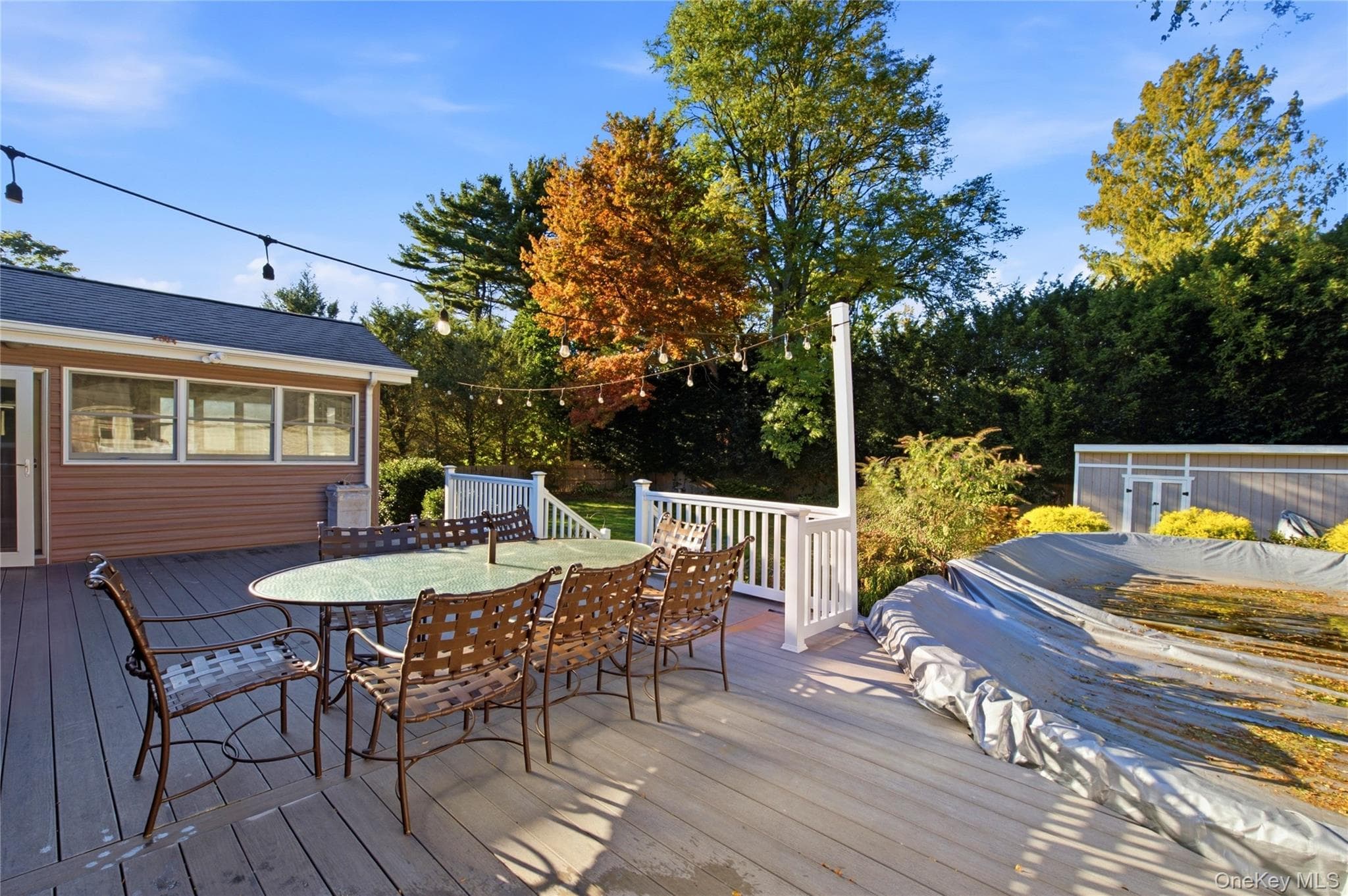 15 Oakwood Street thumbnail 21