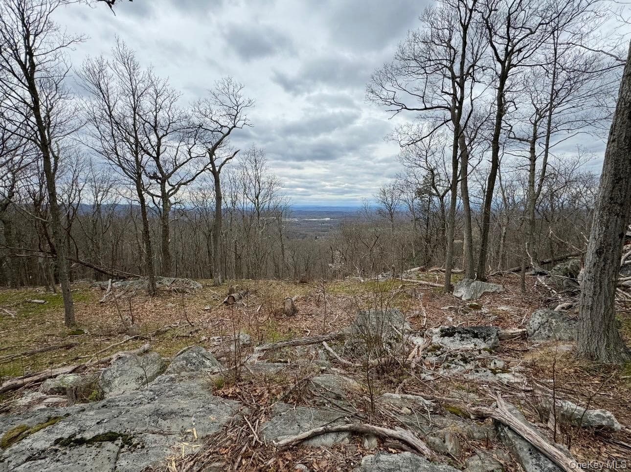 Woodmont Road thumbnail 3