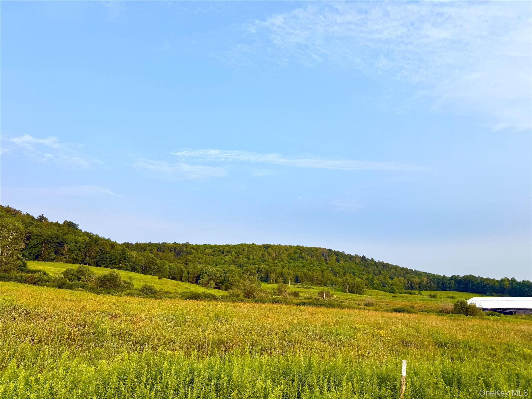 299 Walt Phillips RD thumbnail 3