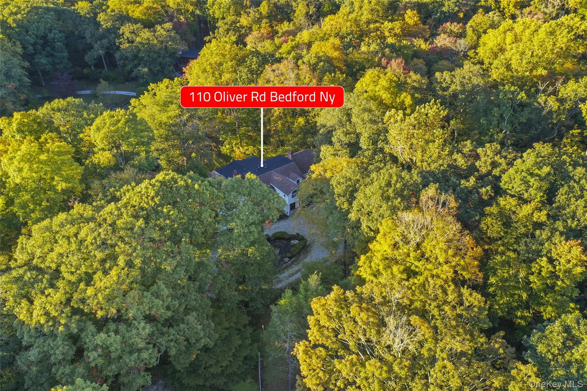 110 Oliver Road thumbnail 4